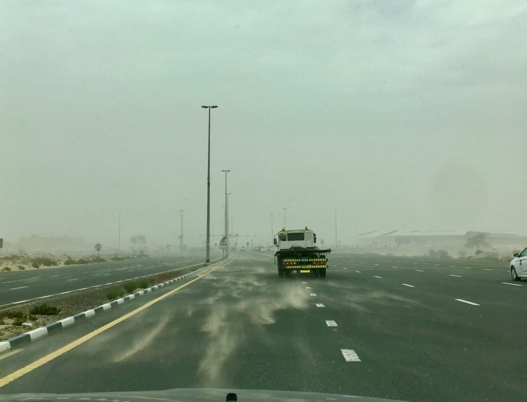 ¿Cómo son las tormentas de arena en Dubai? Dunas y Palmeras